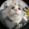 KOTKIT POHS