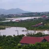 hoangminhhieu192
