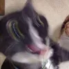 bdhdbskshhhb
