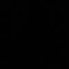971_.l