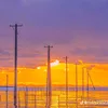 tram_phanrt74