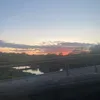 obxfanig