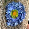 www.tiktok.coms.s.l
