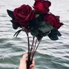 _rs.87_