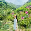 hauhoang920