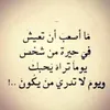 user362993349477