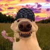 samuelmyl11