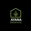 ayanagreenhouse