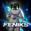 feniks.on