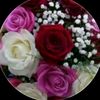 _nihat_222