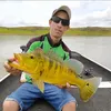 kim.pesca.esportiva