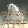 user11241379948510