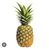 onlypineapple1