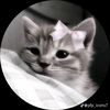 shijuka_81