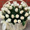 user9221072345601