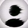aank_al