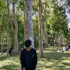 fauzan485