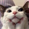 _justk1mm