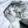 callme.thirii