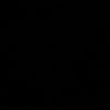 si_chekk.0