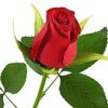 user8626552481804