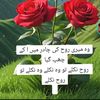 user2141090381860