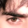 zain.raven021