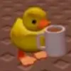 veo_mer