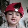 malik.musa793