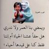 user8127884352726