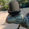 abelisaurus27