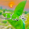 user536410889