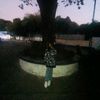 pan.pan9834