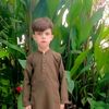 bilal.tanoli.kg.80