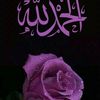 user487061708209