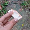 usercu_khem