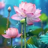 tu_vi_phong_thuy_9999
