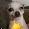camilasalazar30