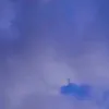 nicollealvesleite1