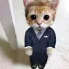 a_cat_in_a_suit