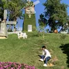 ngtam1478