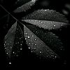 user5590360162080