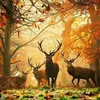 clairewoodhouse72
