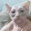xindicabadu