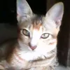 yurniyurni9707