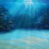 megfinn6
