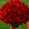nekmohammad.hossin