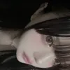 _r1lzyii