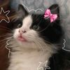 s...m....mitu...123