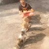 user9180067802617